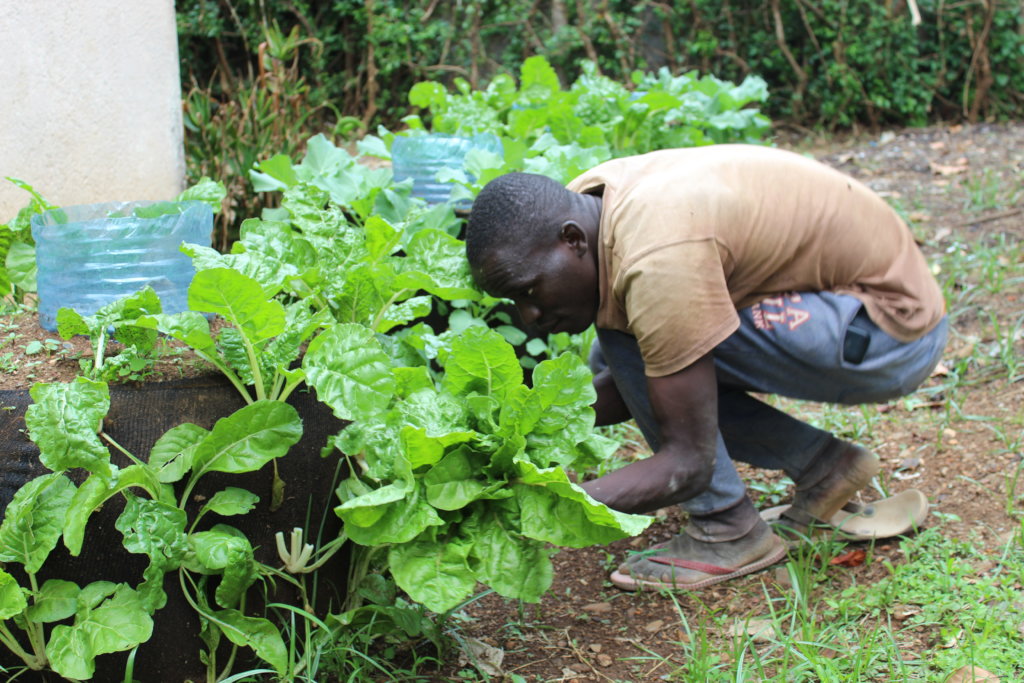 Climate Action in Education: Planting 10,000 Trees