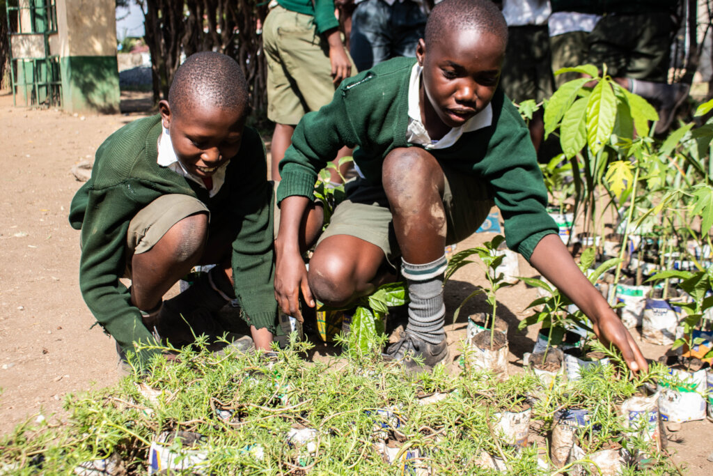 Climate Action in Education: Planting 10,000 Trees