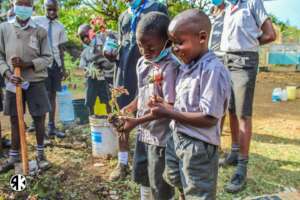 Seedlings for the little ones