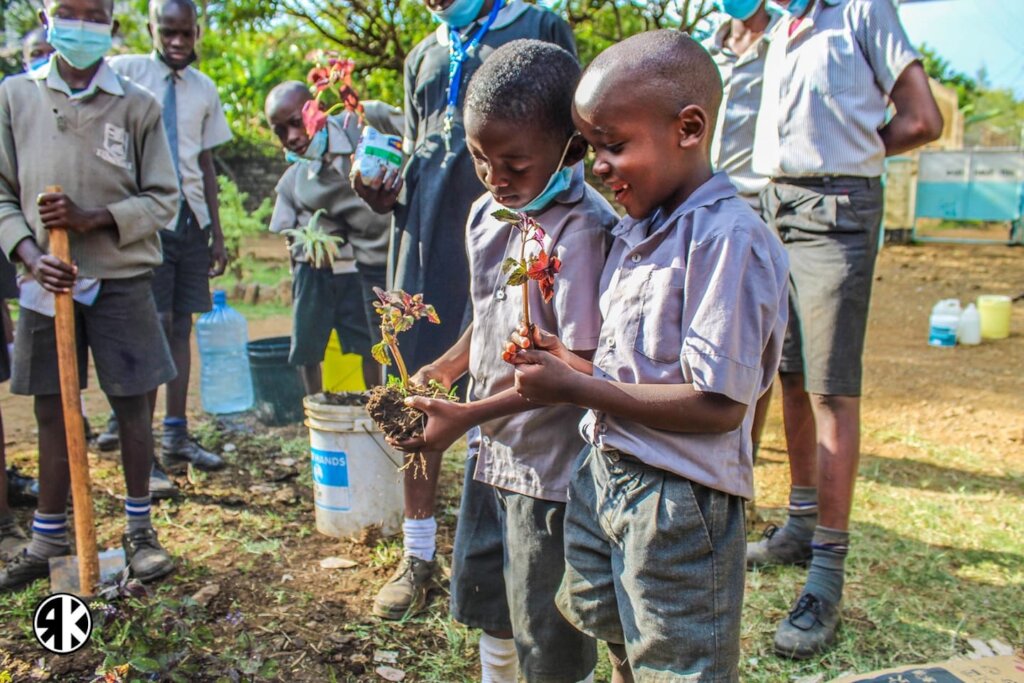 Environment in Education: Planting 100,000 Trees