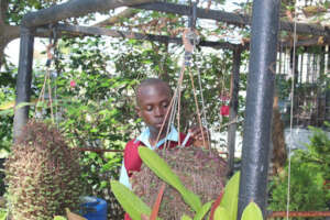 Exploring the botanical garden: Learning names