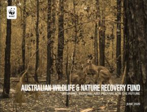 Australia Report