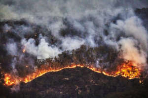 Andrew Merry / Getty / WWF