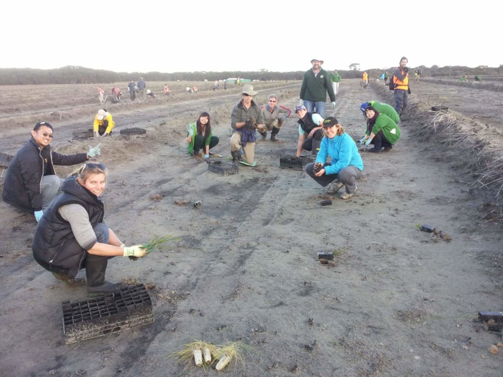 Kangaroo Island Wildlife Recovery