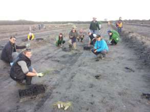 CVA volunteers on a previous planting project