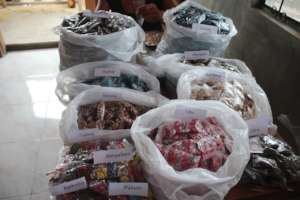 Seeds for distribution