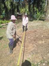 Careful Measurements for Future Saplings