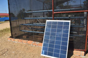 Supplying Africa with renewable electricity.