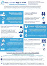 Here is an infographic of our new courses