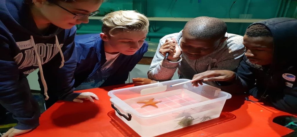 Bring the Ocean Alive for Children in South Africa