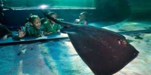 The Ocean Inspires Young Minds