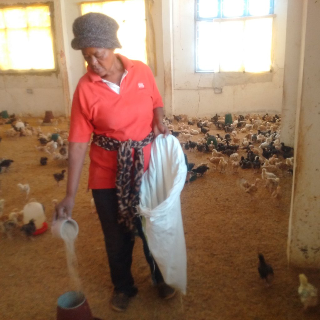 Most Vulnerable Children Education Access