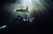 Emergency Rescue: Saving Endangered Turtles