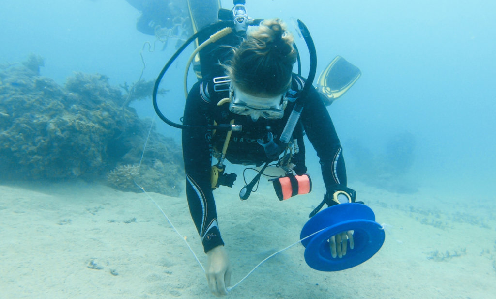 Emergency Response: Tackling a Plastic ocean