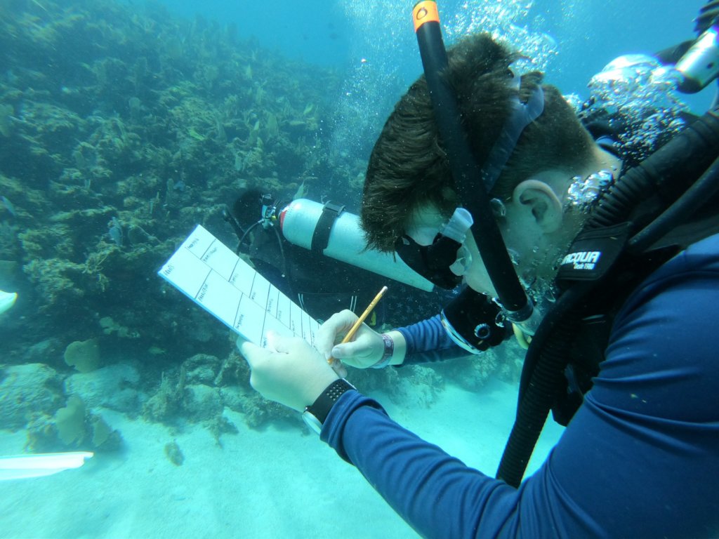 Emergency Response: Tackling a Plastic ocean