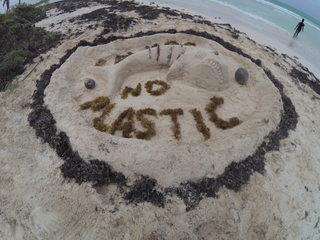 Emergency Response: Tackling a Plastic ocean