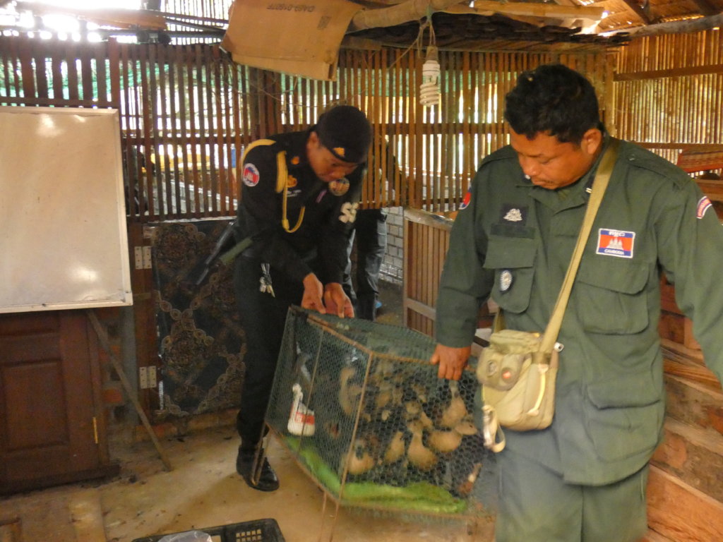 Emergency funding to care for 500+ rescued animals