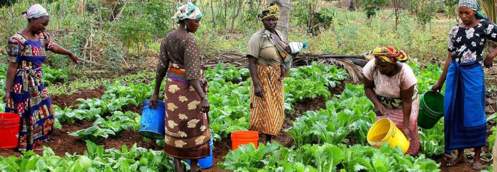 IRRIGATION PROJECT FOR SMALLHOLDER FARMERS UGANDA