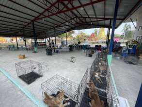 Mobile Clinic located on temple grounds in Raining