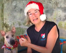 Junie Kovacs, Founder - Lanta Animal Welfare