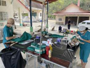 Medical and catcher staff worked long days