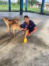 A paw-shake to say thank you