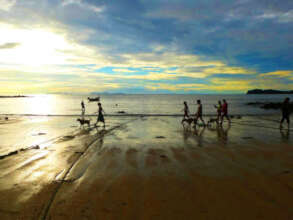 Volunteers walking dogs on the beach