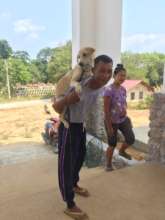 Local bringing his dog to a Mobile Clinic