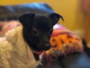 Sissel had been living on the streets