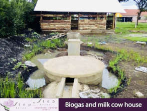BIOGAS & COW HOUSE