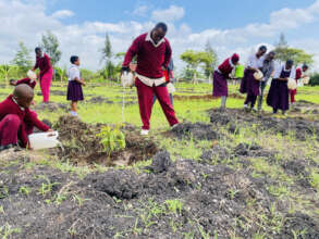 Students watering avocado seedlings