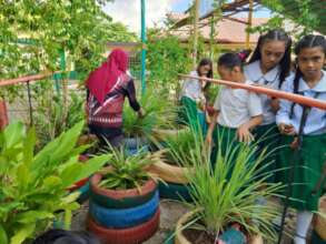 This city school garden protects plants with pots