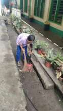 Clearing the school garden drain areas
