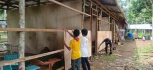 Young volunteers learn new skills repairing school