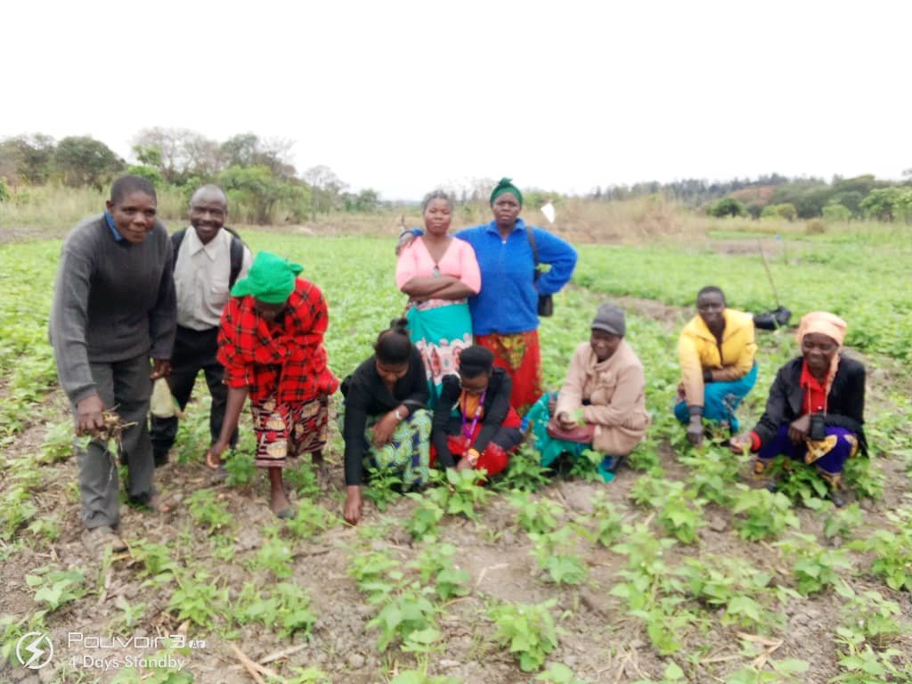 Empowering Lusangazi Horticulture Farmers Group