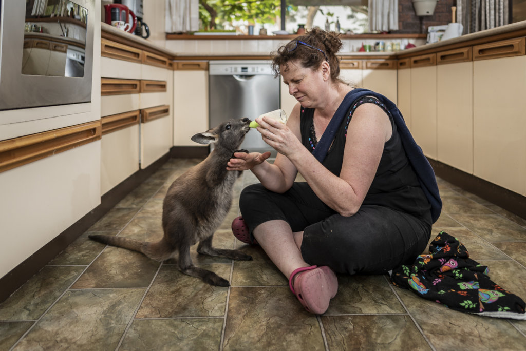 Widlife-Volunteer-Feeding-Joey