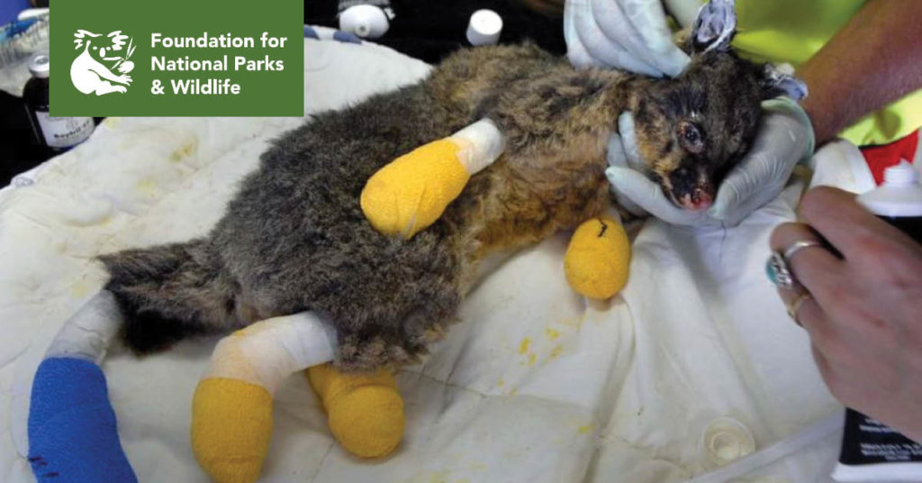 Wildlife Emergency Appeal