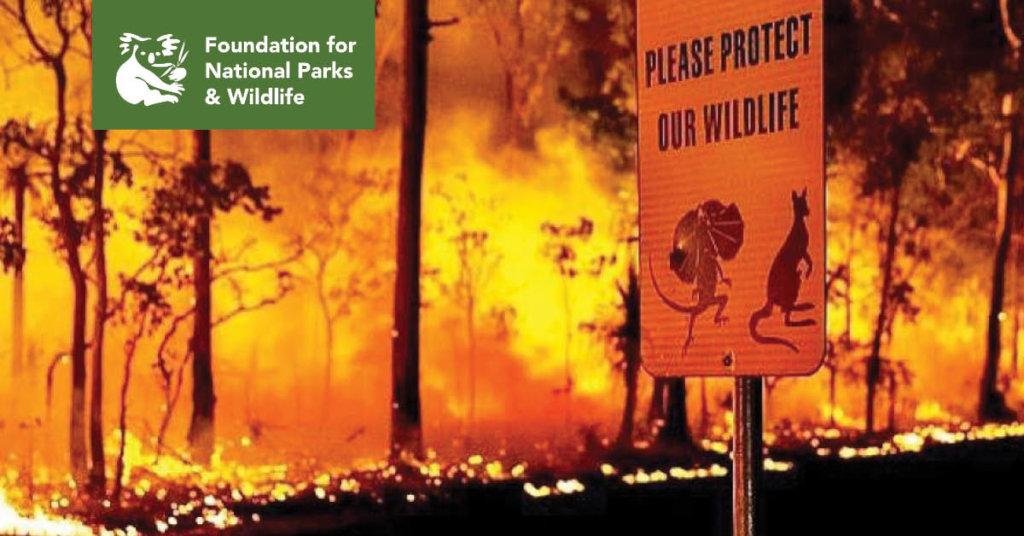 Wildlife Emergency Appeal