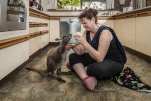 Widlife-Volunteer-Feeding-Joey