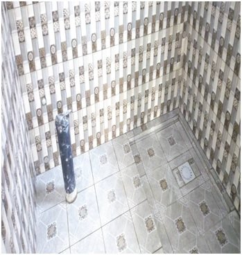 Picture 3 -- Inside bathroom