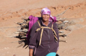 Climate Resilience In Indigenous Southern Africa