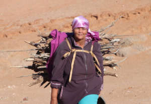Climate Resilience In Indigenous Southern Africa