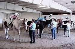 Angela Knopf: Using horses to help kids