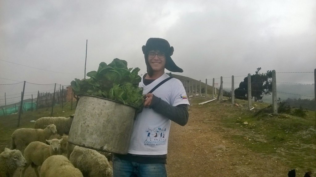 Reaping life 200 settlement households in Bogota