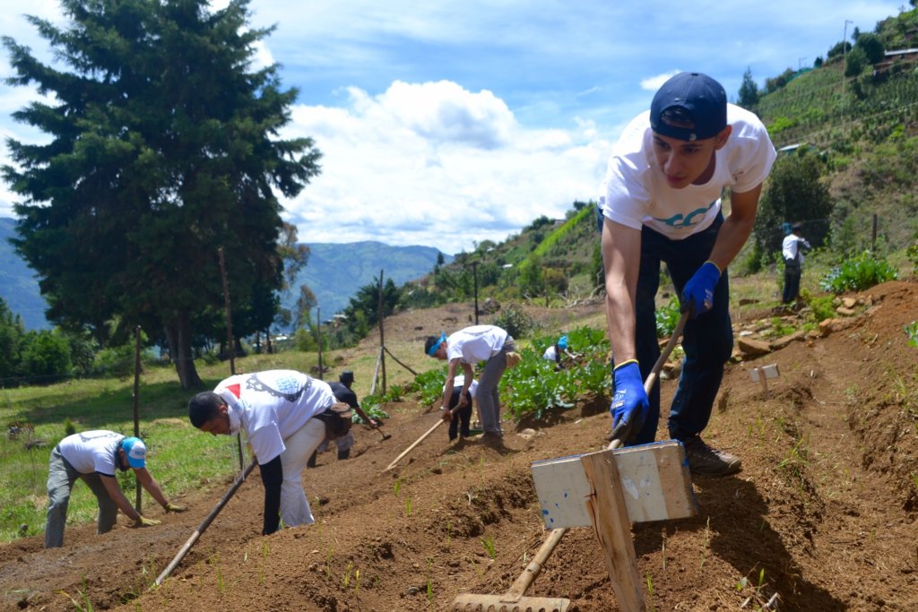 Reaping life 200 settlement households in Bogota