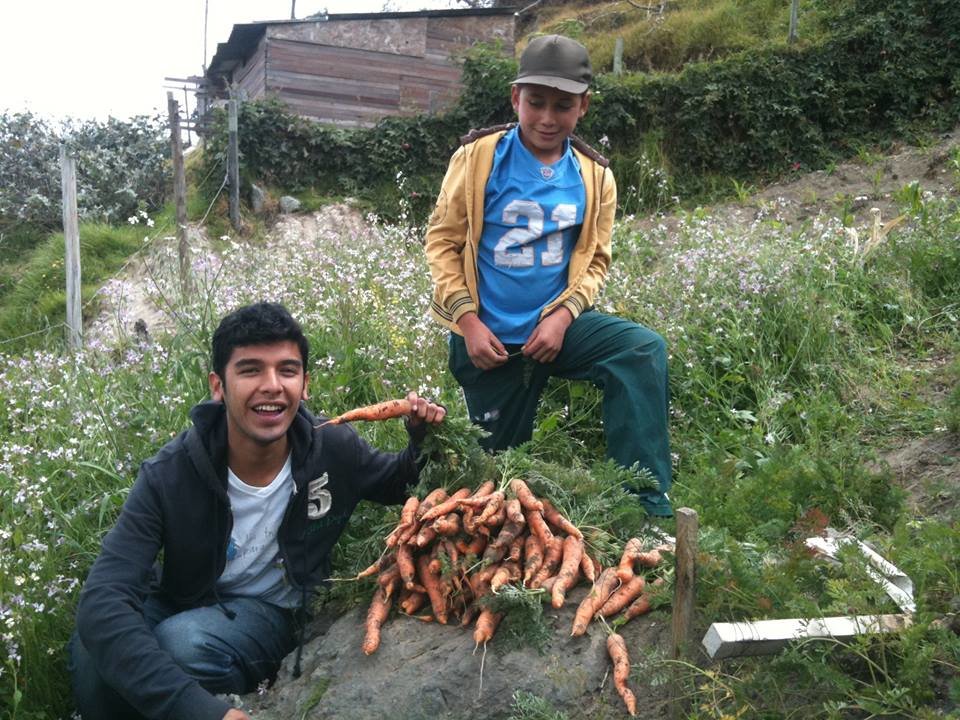 Reaping life 200 settlement households in Bogota
