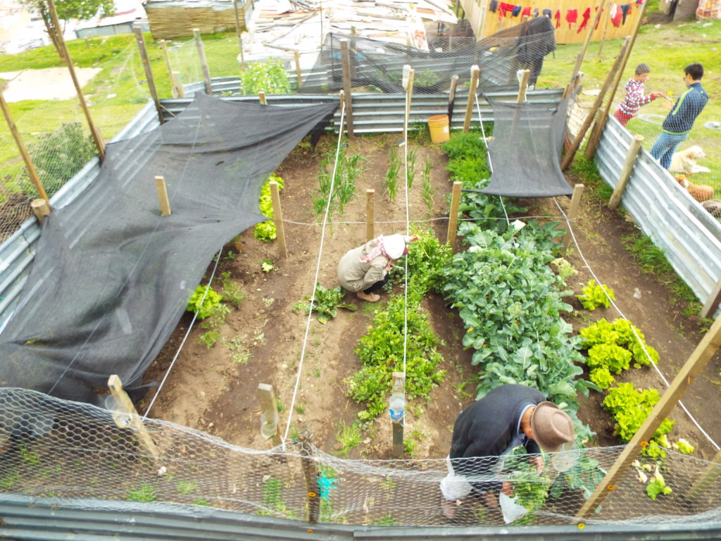 Reaping life 200 settlement households in Bogota