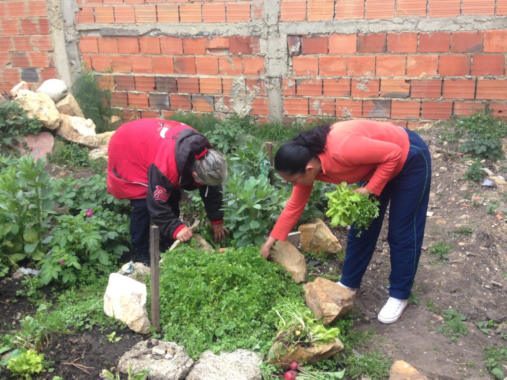 Reaping life 200 settlement households in Bogota