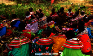 Survivor engagement activity