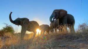 Khanyisa with Timisa at sunrise